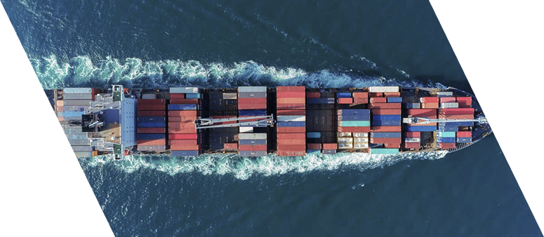 Customs Consultancy